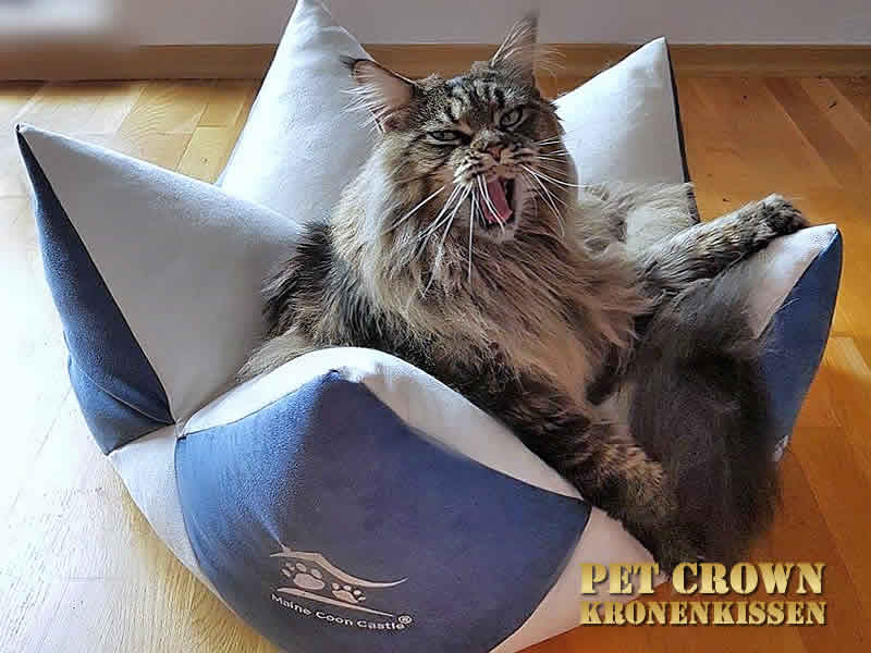 Pet Crown Kronenkissen